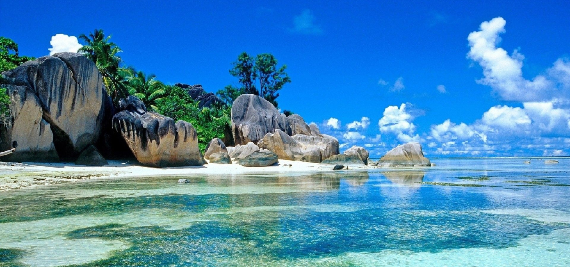 Cùng Bạn Trên Mọi Nẻo Đường