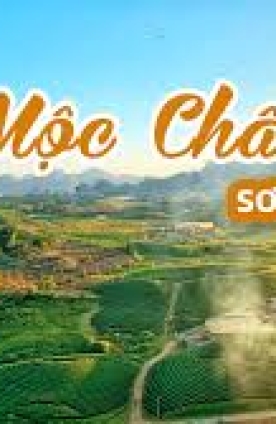 10 địa điểm du lịch Mộc Châu đẹp mê mẩn lòng người