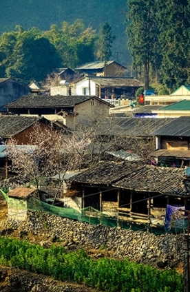 Phố cổ Đồng Văn - viên ngọc nằm giữa vùng di sản cao nguyên đá