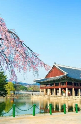 DU LỊCH HÀN QUỐC MÙA NÀO ĐẸP NHẤT? 