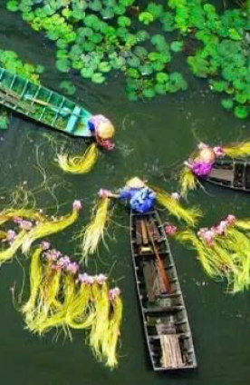 TOP ĐỊA ĐIỂM DU LỊCH MIỀN TÂY