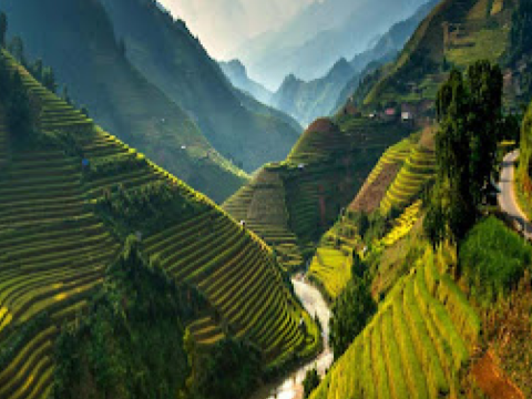 TRƯỜNG MẦM NON TÂN PHONG - VỀ NGUỒN TƯỢNG ĐÀI CHIẾN THẮNG LONG AN - KDL VINH SANG 