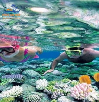 KHÁM PHÁ ĐẢO XANH” BÌNH HƯNG 