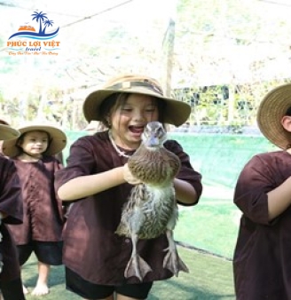 NÔNG TRẠI ONG VÀNG-1 NGÀY